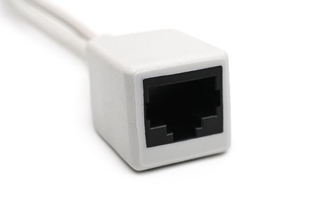 Female Ethernet output on white background