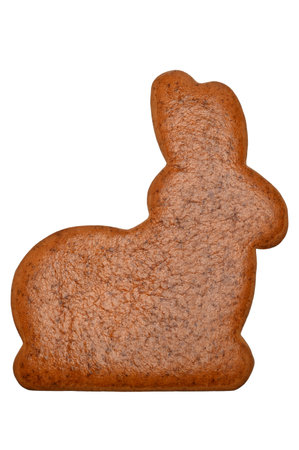 Easter gingerbread cookie in the form of rabbit isolated on white background