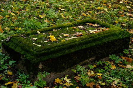 Old tombstone stand in the graveyard, moss covered abandoned graveの写真素材