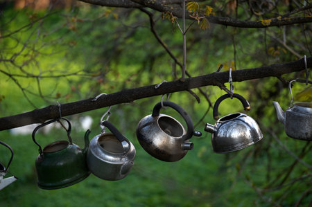 Old metal kettles hanging on a tree branch