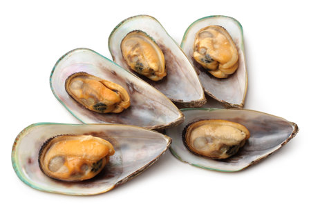 Baked mussels on white backgroundの写真素材