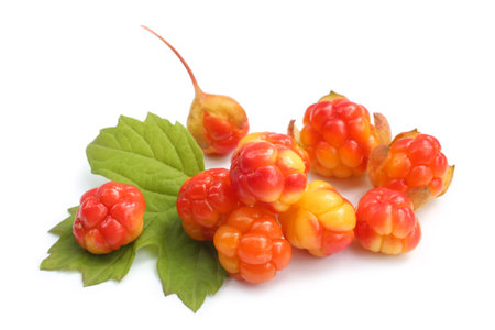 Fresh cloudberries with green leaf on white background