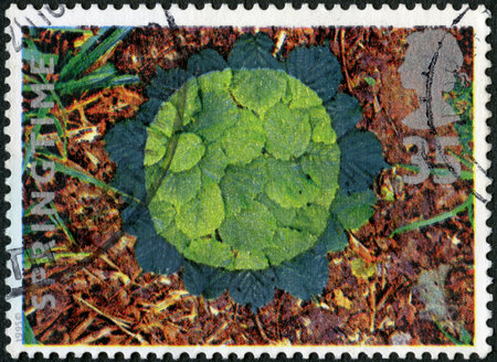 UNITED KINGDOM - CIRCA 1995: A stamp printed in United Kingdom shows Hazel leaves, Springtime, Sculptures from natural materials, circa 1995の写真素材