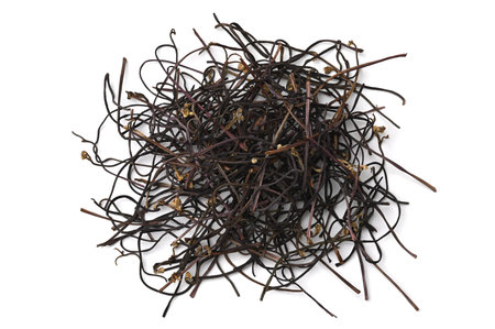 Dried fernbrake on white background