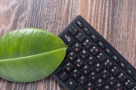 computer keyboard with green leaf plantsの写真素材