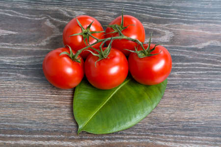 Tomatoes on a leaf plantsの写真素材