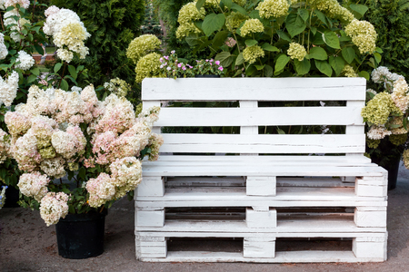 Park bench with flowersの写真素材