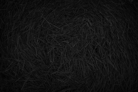 Black pattern, texture hay. Black stack of hay.の写真素材
