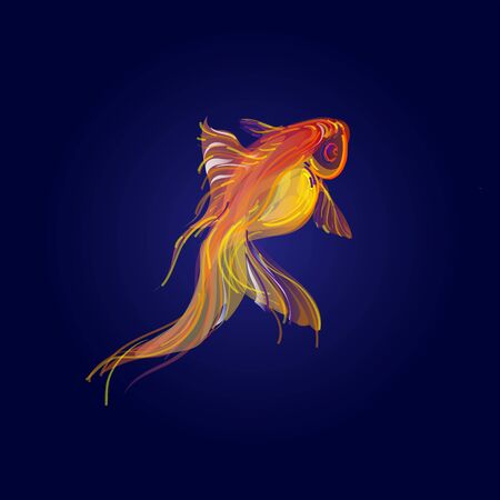 Golden koi fish isolated on blue background.のイラスト素材