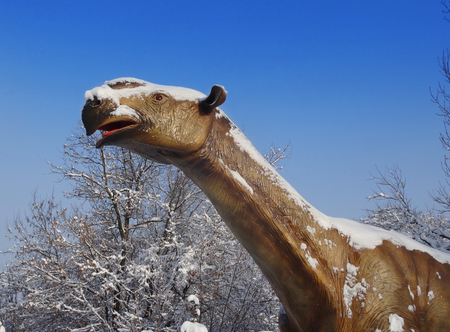 fossil animal Paraceratherium jn blue sky in the park.                      の写真素材