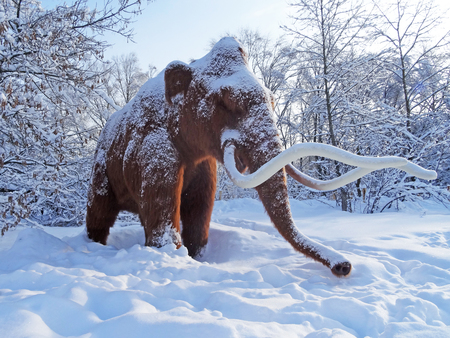 The figure of mammoth. Winter scenery, snowstorm in park. Winter dai in the park.                                                                                             の写真素材