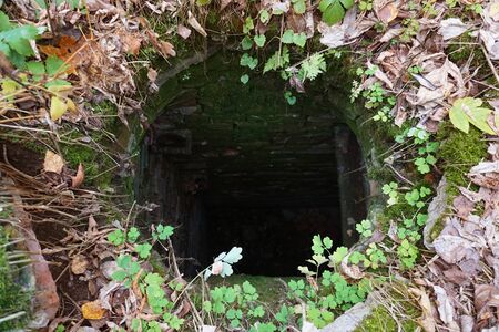 Small cave in the forest. Dark enter from brick.の写真素材