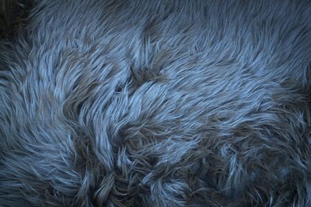 natural texture of the hair in magwzine in blue tones