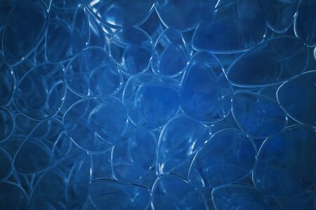 This image shows a Blue Circle Pattern                               