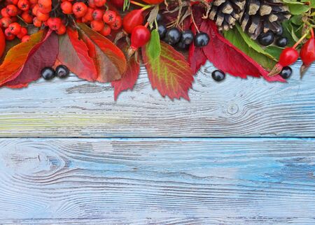 Autumn colorful background. Old wooden texture with leaves, tomatoes and cones.                          の写真素材