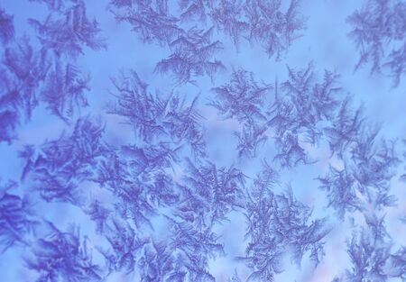Abstract blue frost background closeup in winter season