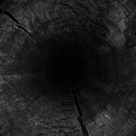 imitation of the view inside and a wooden pipe                               の写真素材