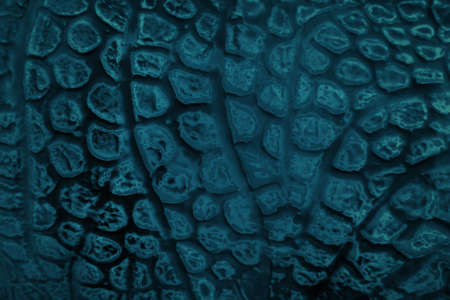 Old fishing nets. A closeup view of an old, faded white fishing net lying in a pile. A few bits of pine cone in the mesh.の写真素材