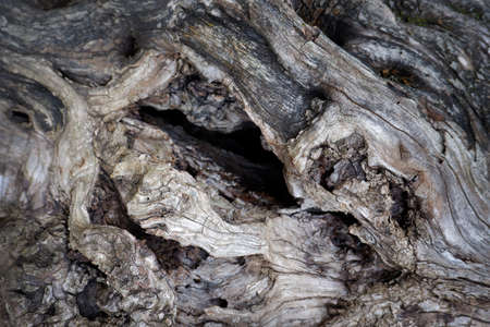 Black Wooden structural surface. Top view. Natural background.