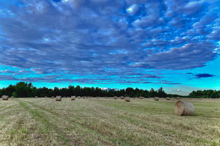 Hay bales in the field after harvestの写真素材
