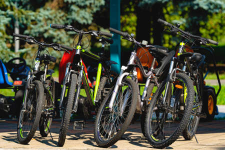 Bicycle rental in the city recreation park.の写真素材