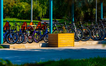 Bicycle rental in the city recreation park.の写真素材