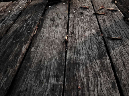woodの写真素材