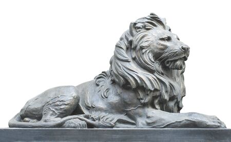 Isolated lion on white backgroundの写真素材