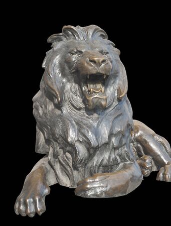 Isolated sitting lion on black backgroundの写真素材