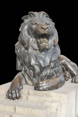 Isolated lion sitting on stone stageの写真素材