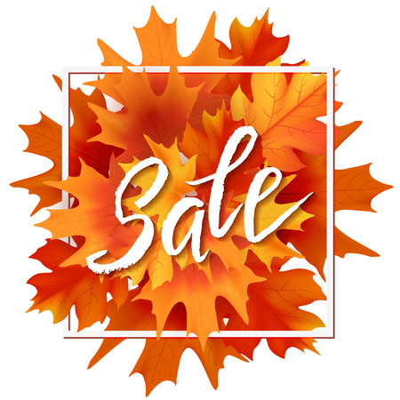 Autumn hand drawn lettering. Autumn leaves background. Vector illustration EPS10のイラスト素材