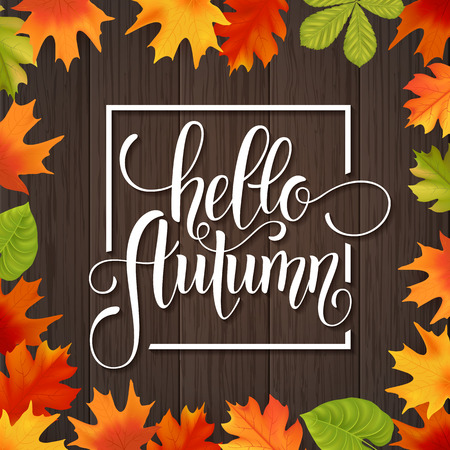 Autumn hand drawn lettering. Autumn leaves background. Vector illustration EPS10.のイラスト素材