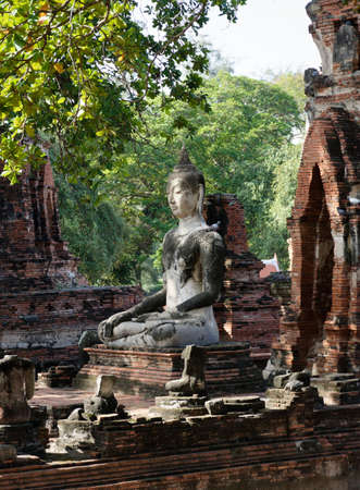 The buddha statue in meditation posture with the sunlight emitting from the sky to illustrate a look of wise, calm, discreetly and respectful of his enlightenment. Vertical sight.の写真素材
