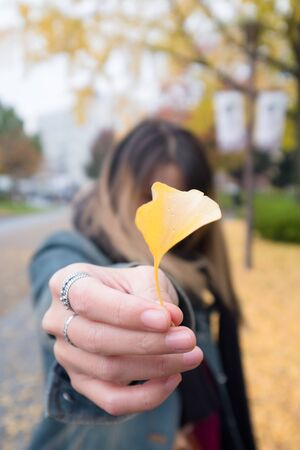 A lady holding yellow Ginkgo leaf in her hand.の写真素材