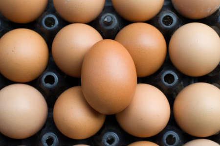 close-up egg in trayの写真素材