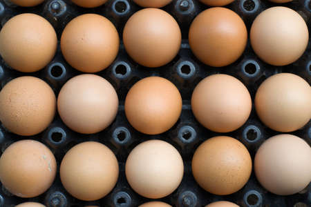 egg in a black trayの写真素材