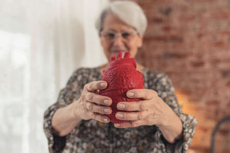 caucasian elderly lady holding fake heart cardiovascular disease heart disease. High quality photoの写真素材