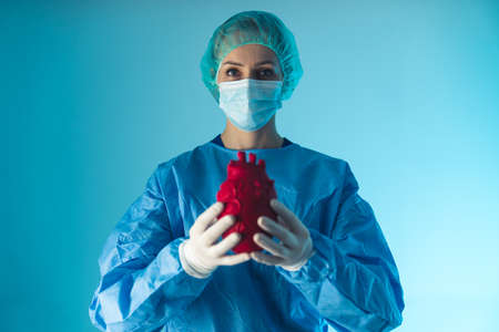 Caucasian woman doctor of cardiology showing red artificial heart, medium studio shot blue background. Healthcare concept. High quality photoの写真素材