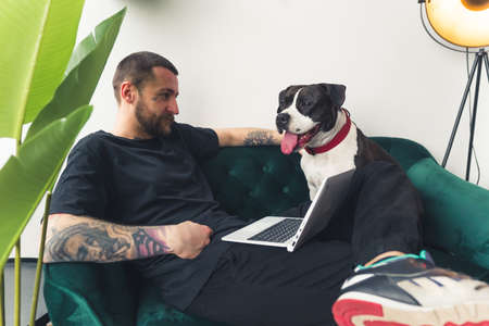 young European bearded man working on a laptop with a dog in a room medium shot room background...