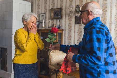 Happy birthday. Senior retired gentleman surprising his moved senior wife with beautiful red rose and a present to celebrate her birthday. Vintage interior. High quality photoの写真素材