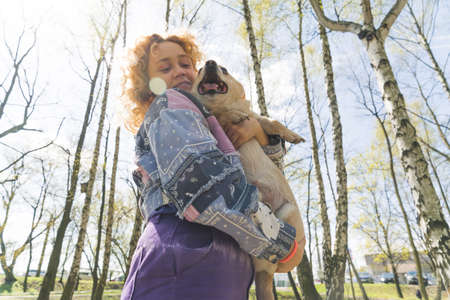 Outdoor shot of a happy young woman with kinky hair standing near trees holding a cheerful dog in...
