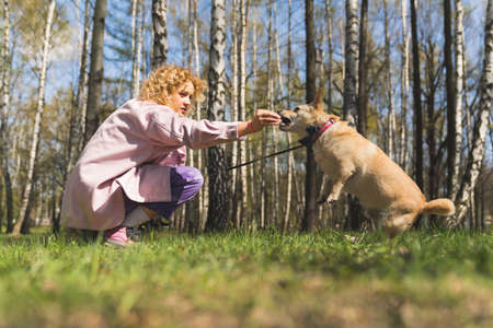 Outdoor shot of a curly-haired girl in her 20s practicing tricks with her mixed-breed dog, giving him treats. Outside training with an obiedient dog. High quality photoの写真素材