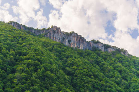 marvelous scenic shot of a cliff and forest with green lush vegetation, Okatse, Georgia. High quality photoの写真素材