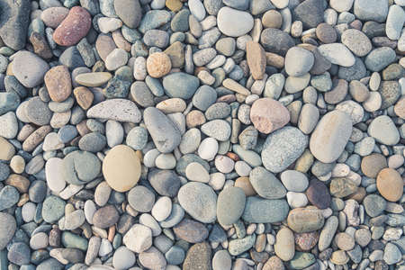 Dry sea pebbles background. Unconventional summer holidays souvenir. High quality photo