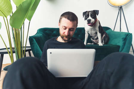 black and white amstaff dog watches young Caucasian man working on laptop home background medium full shot remote job concept . High quality photoの写真素材