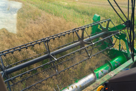 Close up of a spinning combine reel harvesting oilseed rape on a field during late summer or autumn....