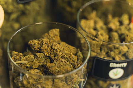 05.28.2022 Warsaw, Poland. Opened glass jars of CBD CBG marijuana tops. Alternative medicine for anxiety and stress relief. High quality photoのeditorial素材