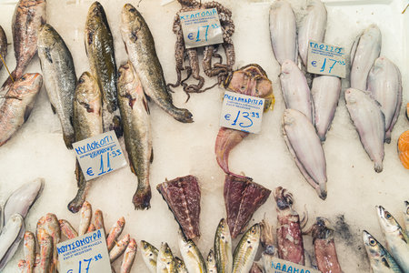Greek fish market concept. Variety of freshly caught fish, shellfish, and octopus on ice. Pescatarian diet concept. High quality photoの写真素材