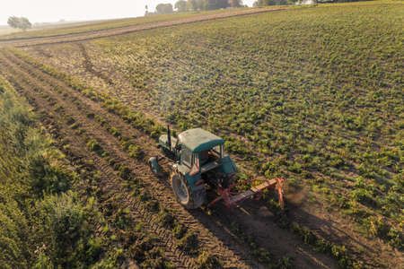 Green tractor with plougher driving through bean plantation next to lush green field and faded tree silhouettes in the background. Slanted angle horizontal shot. High quality photoの写真素材