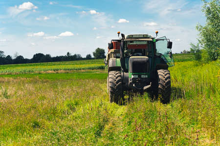 Rape Seed Harvesting. A big agricultural tractor with a trailer loaded with oilseed rape crop by combine harvester in a huge farm field. High quality photoの写真素材